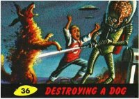 Destroying A Dog