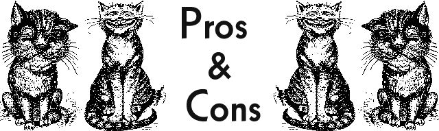 Pros and Cons (with picture of thoughtful panelists)