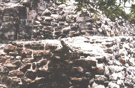 The Iguana on the Pyramid